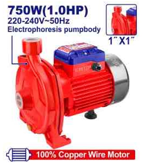 EWPPC07501, Water pump - AC 220-240V Professional AC Powered Power Tool with Multi-Function Capability